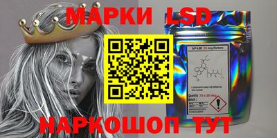 СК Ачхой-Мартан
