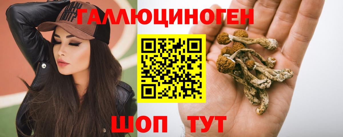 Соль-Илецк  Псилоцибиновые грибы мухоморы  Галлюциногенные грибы мухоморы  Вход с VPN 